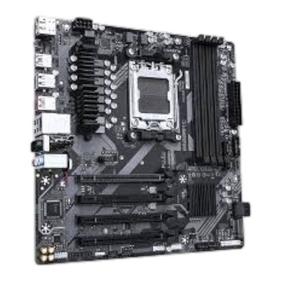 Aorus